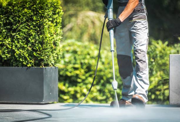 Pre-Holiday Cleaning in Palatine, IL